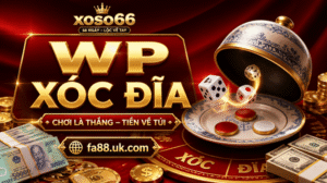 wp-xoc-dia-fa88